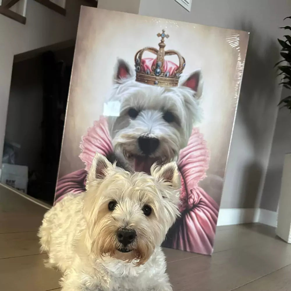 Princessa