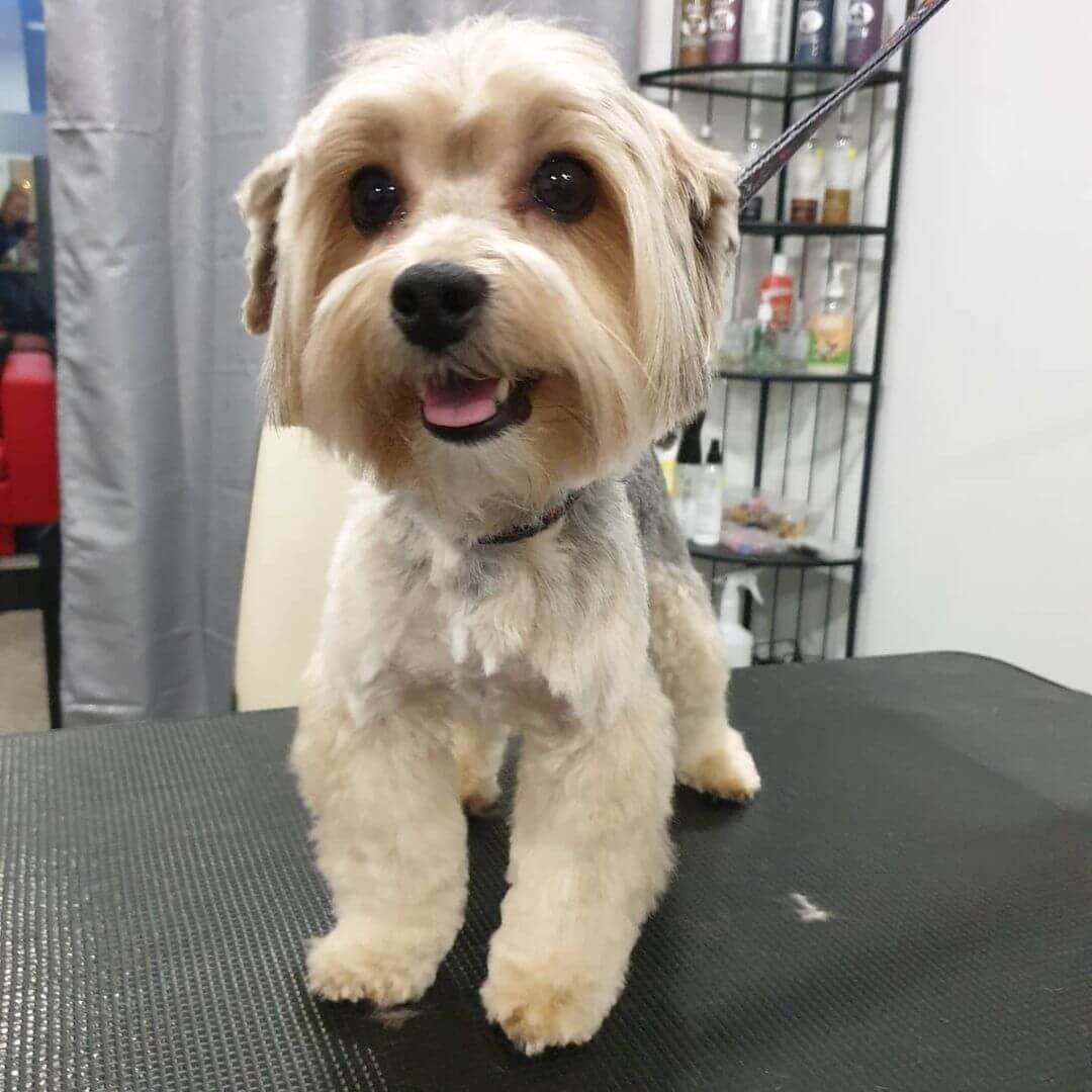 Pisarz Miłości - Ramka