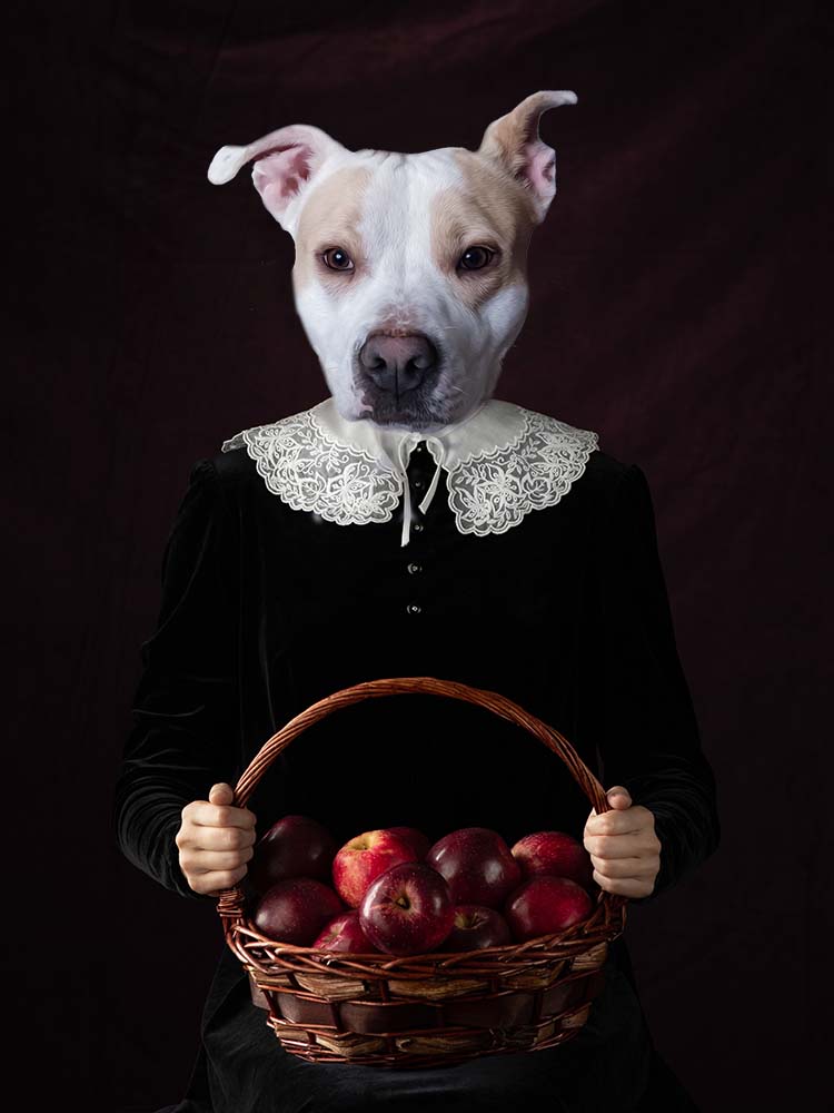 Dziewczyna z Jabłkami - Ramka