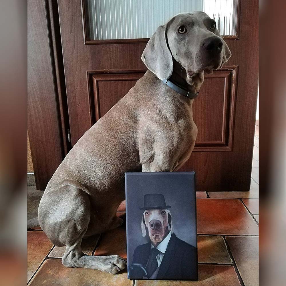 obraz psa pupiart gentelman