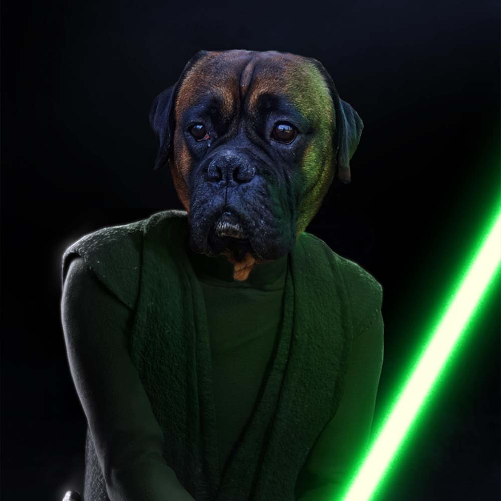 Rycerz Jedi