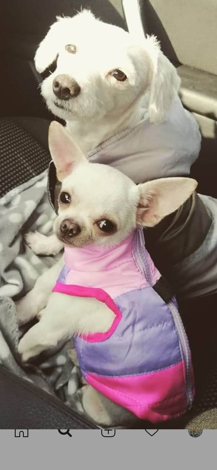 Pink Hoodie - Ramka