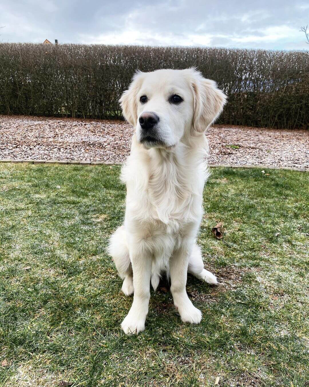 Dama w czerni - Ramka