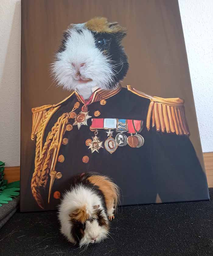 Admirał