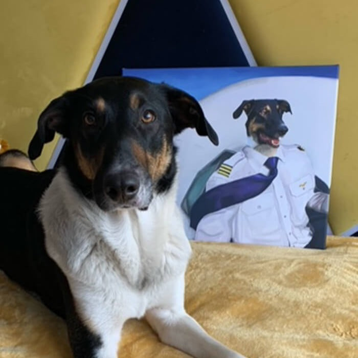 Portret psa mieszanca jako pilot samoluto
