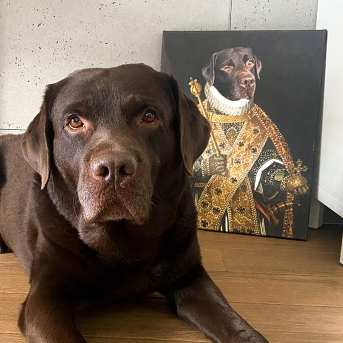 Portret psa labradora jako król