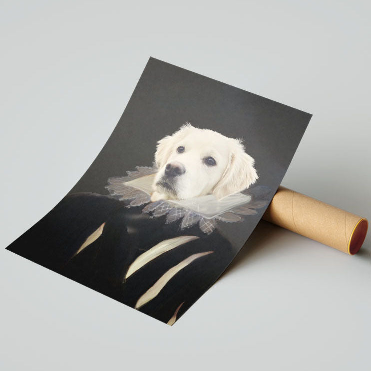 Dama w czerni- plakat