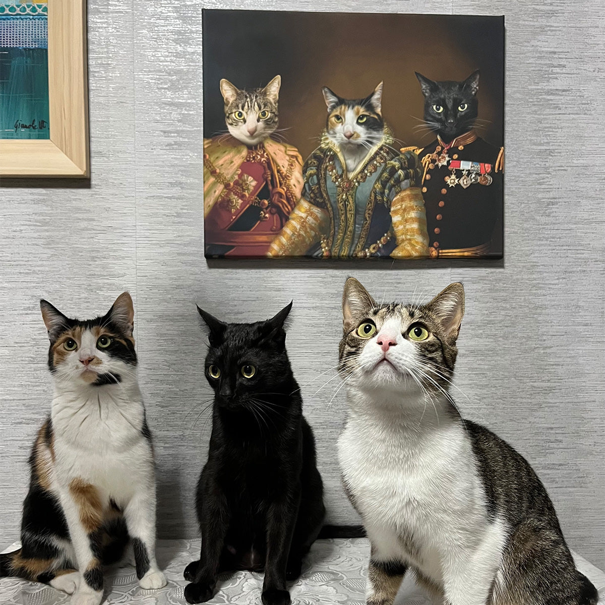 Personalizowane obrazy kotów od pupilart 