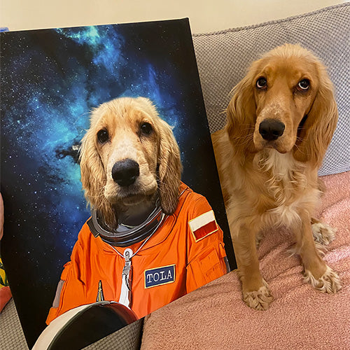 obraz psa pupiart jako astronauta